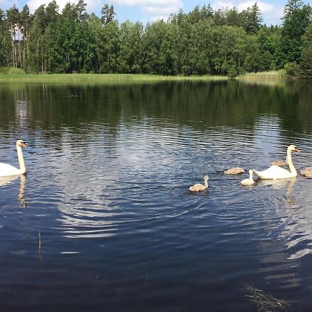 Apartmany U Parezace Humpolec Zewnętrze zdjęcie